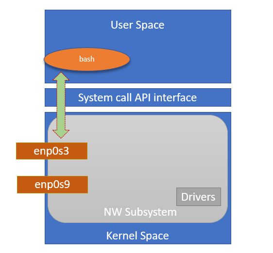 Network